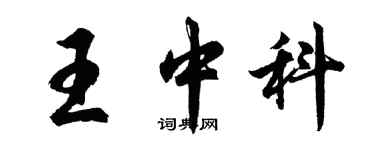 胡問遂王中科行書個性簽名怎么寫