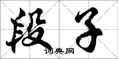 胡問遂段子行書怎么寫