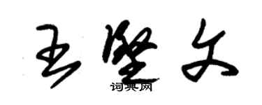 朱錫榮王堅文草書個性簽名怎么寫