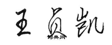 駱恆光王貞凱行書個性簽名怎么寫