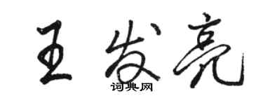 駱恆光王發亮行書個性簽名怎么寫