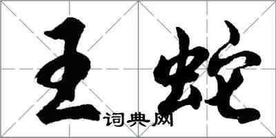 胡問遂王蛇行書怎么寫