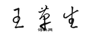 駱恆光王革生草書個性簽名怎么寫