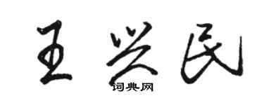 駱恆光王興民行書個性簽名怎么寫