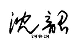 朱錫榮沈韶草書個性簽名怎么寫