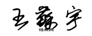 朱錫榮王蘇宇草書個性簽名怎么寫