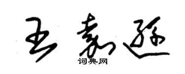 朱錫榮王嘉遜草書個性簽名怎么寫