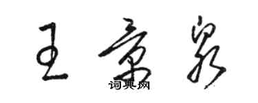 駱恆光王景泉草書個性簽名怎么寫