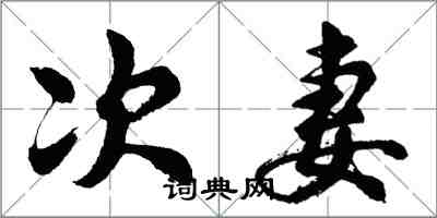 胡問遂次妻行書怎么寫