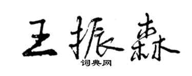 曾慶福王振森行書個性簽名怎么寫