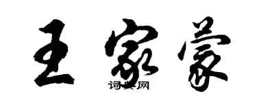胡問遂王家蒙行書個性簽名怎么寫