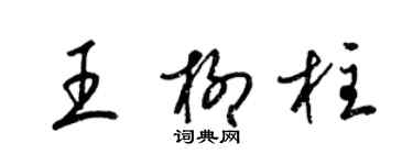 梁錦英王柳柱草書個性簽名怎么寫