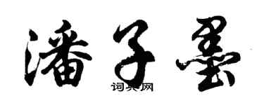 胡問遂潘子墨行書個性簽名怎么寫