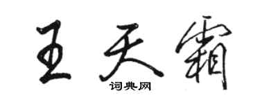 駱恆光王天霜行書個性簽名怎么寫