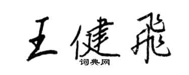 王正良王健飛行書個性簽名怎么寫