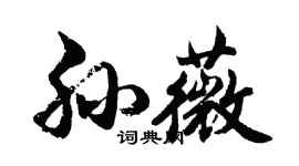 胡問遂孫薇行書個性簽名怎么寫