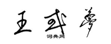 梁錦英王或夢草書個性簽名怎么寫