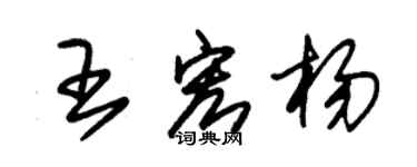 朱錫榮王宏楊草書個性簽名怎么寫