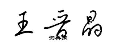 梁錦英王晉晶草書個性簽名怎么寫