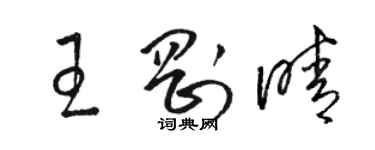 駱恆光王剛晴草書個性簽名怎么寫