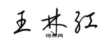 梁錦英王林紅草書個性簽名怎么寫