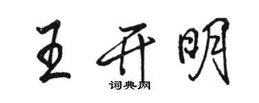 駱恆光王開明行書個性簽名怎么寫