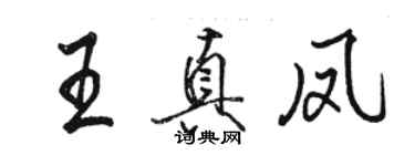 駱恆光王真鳳行書個性簽名怎么寫