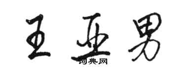 駱恆光王亞男行書個性簽名怎么寫