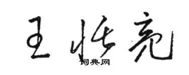 駱恆光王恬亮草書個性簽名怎么寫