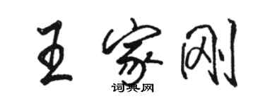 駱恆光王家剛行書個性簽名怎么寫