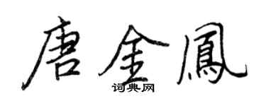 王正良唐金鳳行書個性簽名怎么寫