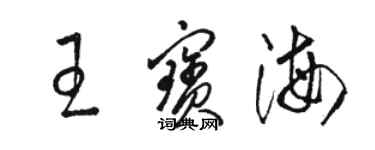 駱恆光王寶海草書個性簽名怎么寫