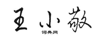 駱恆光王小敬行書個性簽名怎么寫