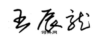 朱錫榮王辰龍草書個性簽名怎么寫