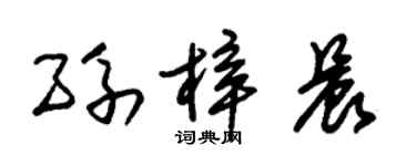 朱錫榮孫梓晨草書個性簽名怎么寫