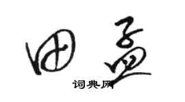 駱恆光田孟草書個性簽名怎么寫