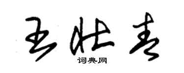 朱錫榮王壯青草書個性簽名怎么寫