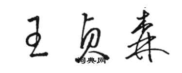 駱恆光王貞森草書個性簽名怎么寫