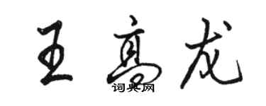 駱恆光王高龍行書個性簽名怎么寫