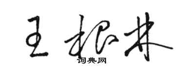 駱恆光王根林草書個性簽名怎么寫