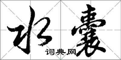 胡問遂水囊行書怎么寫