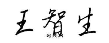 王正良王智生行書個性簽名怎么寫