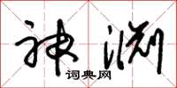 朱錫榮神淵草書怎么寫