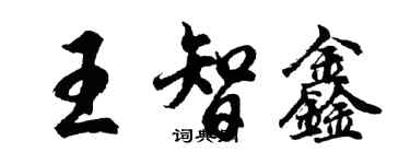 胡問遂王智鑫行書個性簽名怎么寫