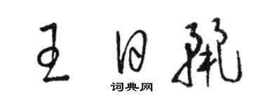 駱恆光王日麗草書個性簽名怎么寫