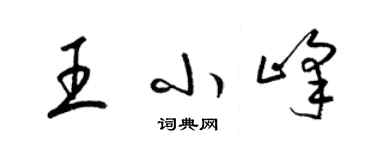 梁錦英王小峰草書個性簽名怎么寫