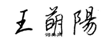 王正良王萌陽行書個性簽名怎么寫