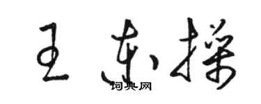 駱恆光王東操草書個性簽名怎么寫