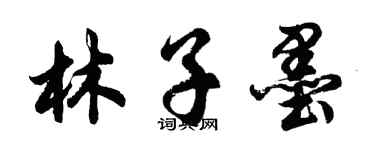 胡問遂林子墨行書個性簽名怎么寫