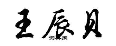 胡問遂王辰貝行書個性簽名怎么寫